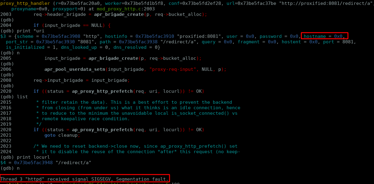 Segmentation fault with NULL hostname